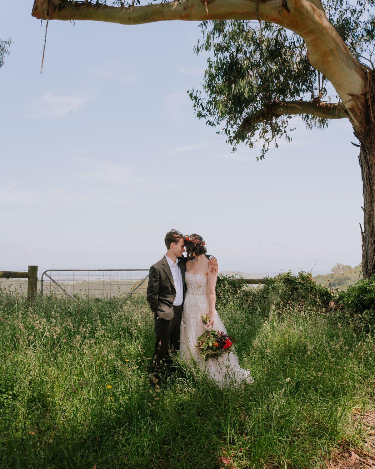 carousel-hero-element image-6